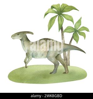 Illustration aquarelle d'un dinosaure parasaurolophus sur herbe verte avec des palmiers, texture aquarelle, fait main, isolé. Pour la chambre des enfants Banque D'Images