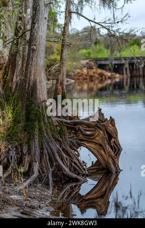 Une vue panoramique sur Fisheat Creek en Floride Banque D'Images