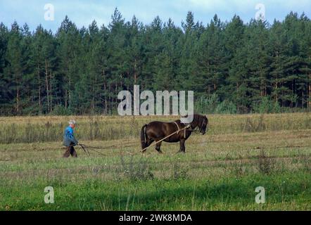 Agriculteur labourant avec un cheval dans une ferme traditionnelle de la province lituanienne de Vilnius, près de la frontière avec la Biélorussie. Banque D'Images