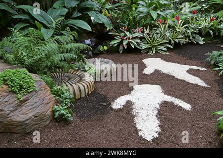 Empreintes de dinosaures, zone tropicale, Takeover de plantes d'intérieur 2024 : plants Before Time, Glasshouse, RHS Garden Wisley, Woking, Surrey, Angleterre, Royaume-Uni, Europe Banque D'Images