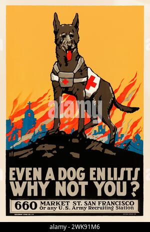 Même un chien s'engage, pourquoi pas toi ? Affiche de recrutement de l'armée américaine de 1917-18 avec des illustrations de Mildred Moody montrant un chien de sauvetage de la Croix-Rouge avec une ville en feu en arrière-plan. Banque D'Images