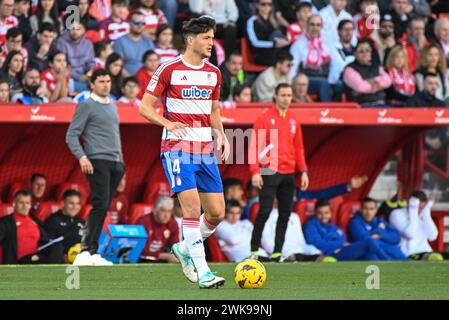 Grenade, Grenade, Espagne. 18 février 2024. Miguel Rubio de Granada CF lors du match de Liga entre Granada CF - UD AlmerÃ-a au stade Nuevo Los CÃrmenes le 18 février 2024 à Grenade, Espagne. (Crédit image : © José M Baldomero/Pacific Press via ZUMA Press Wire) USAGE ÉDITORIAL SEULEMENT! Non destiné à UN USAGE commercial ! Banque D'Images