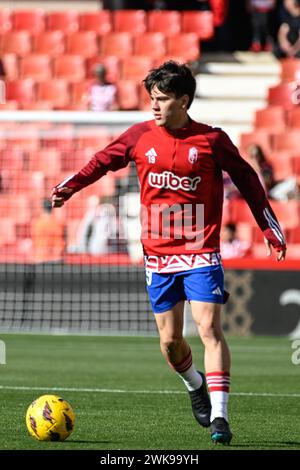 Grenade, Grenade, Espagne. 18 février 2024. Facundo Pellistri de Granada CF lors du match de Liga entre Granada CF - UD AlmerÃ-a au stade Nuevo Los CÃrmenes le 18 février 2024 à Grenade, Espagne. (Crédit image : © José M Baldomero/Pacific Press via ZUMA Press Wire) USAGE ÉDITORIAL SEULEMENT! Non destiné à UN USAGE commercial ! Banque D'Images