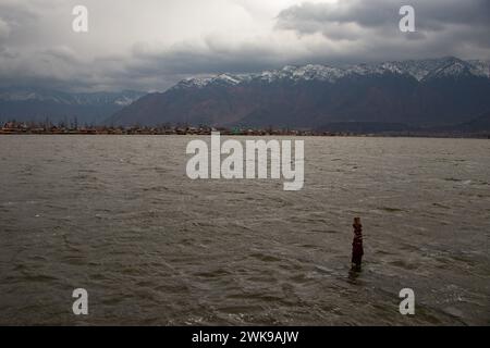 Srinagar, Jammu-et-Cachemire, Inde. 19 février 2024. Une vue sur le lac Dal au milieu de fortes précipitations à Srinagar. (Crédit image : © Adil Abbas/ZUMA Press Wire) USAGE ÉDITORIAL SEULEMENT! Non destiné à UN USAGE commercial ! Crédit : ZUMA Press, Inc/Alamy Live News Banque D'Images