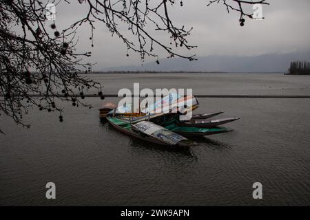 Srinagar, Jammu-et-Cachemire, Inde. 19 février 2024. Une vue sur le lac Dal au milieu de fortes précipitations à Srinagar. (Crédit image : © Adil Abbas/ZUMA Press Wire) USAGE ÉDITORIAL SEULEMENT! Non destiné à UN USAGE commercial ! Crédit : ZUMA Press, Inc/Alamy Live News Banque D'Images