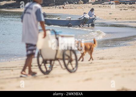 Amararelo chien est connu comme caramel marchant sur la plage avec l'océan en arrière-plan et les touristes profitant d'une journée ensoleillée. Banque D'Images