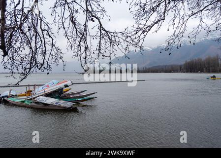 Srinagar, Inde. 19 février 2024. Les bateaux Shikara flottent sur le lac Dal au milieu de rafales de vents et de pluie. Des rafales de vent ont endommagé plusieurs structures résidentielles à Srinagar. Dans un climat défavorable avec pluie et neige, les autorités ont émis un avertissement d'avalanche dans les parties supérieures du Jammu-et-Cachemire pour les 24 heures suivantes. Crédit : SOPA images Limited/Alamy Live News Banque D'Images