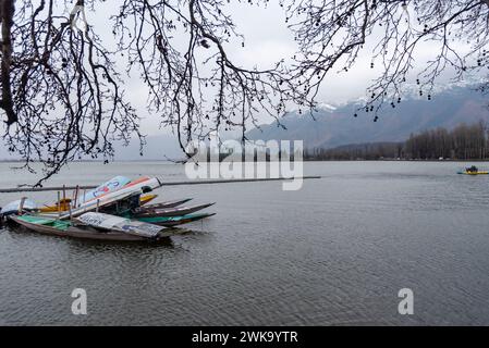 Srinagar, Inde. 19 février 2024. Les bateaux Shikara flottent sur le lac Dal au milieu de rafales de vents et de pluie. Des rafales de vent ont endommagé plusieurs structures résidentielles à Srinagar. Dans un climat défavorable avec pluie et neige, les autorités ont émis un avertissement d'avalanche dans les parties supérieures du Jammu-et-Cachemire pour les 24 heures suivantes. (Photo par Idrees Abbas/SOPA images/SIPA USA) crédit : SIPA USA/Alamy Live News Banque D'Images