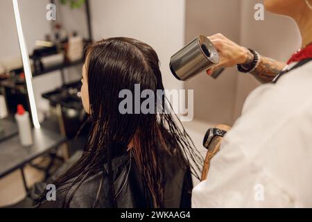 Vue arrière du coiffeur professionnel féminin avec sèche-cheveux coiffant les cheveux du client dans le salon Banque D'Images