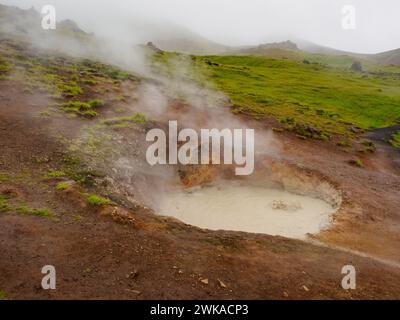 Bassin de boue bouillante dans la vallée de Reykjadalur, Islande Banque D'Images