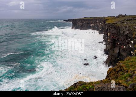 Falaises de Hafnarberg, péninsule de Reykjanes dans le sud de l'Islande Banque D'Images