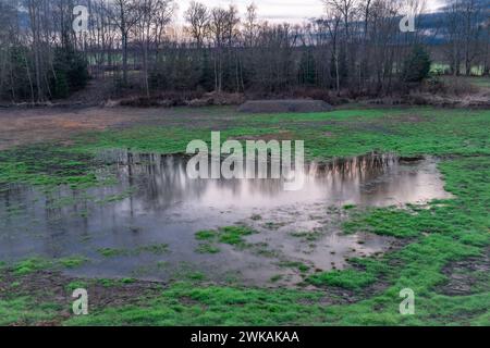 Prairie inondée d'herbe verte dans la couleur nuageuse soirée d'hiver près de Tabor ville de Bohême du sud Banque D'Images