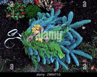 Décoration automnale, hivernale, disposition funéraire composée de branches de sapin vert, de fleurs jaunes séchées de la flèche et de taches sèches brun rustique Banque D'Images