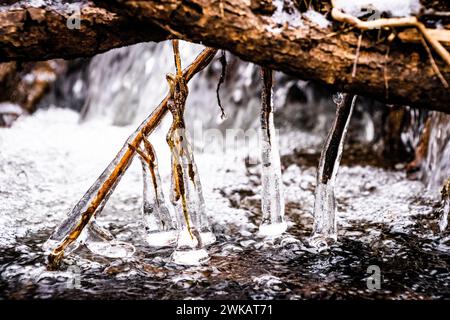 Glaçons suspendus à une branche tombée dans un ruisseau en hiver. Banque D'Images