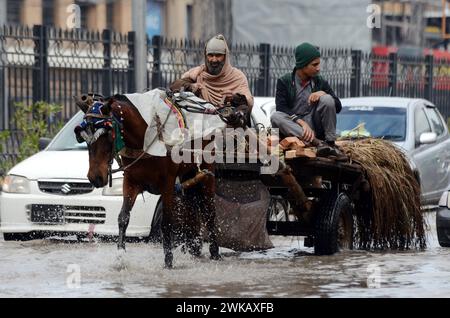 Peshawar, Peshawar, Pakistan. 19 février 2024. Des tempêtes de pluie ont frappé la ville pakistanaise de PeshawarPESHAWAR, PAKISTAN, 17 FÉVRIER : des gens tentent de déplacer une route inondée après que des tempêtes de pluie ont frappé la ville pakistanaise de Peshawar le 17 février. (Crédit image : © Hussain Ali/ZUMA Press Wire) USAGE ÉDITORIAL SEULEMENT! Non destiné à UN USAGE commercial ! Crédit : ZUMA Press, Inc/Alamy Live News Banque D'Images