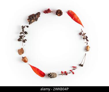 Disposition d'automne créative avec des cônes, des glands, des feuilles et des branches disposés en cercle sur un fond blanc. Vision abstraite de l'automne dans un s minimaliste Banque D'Images