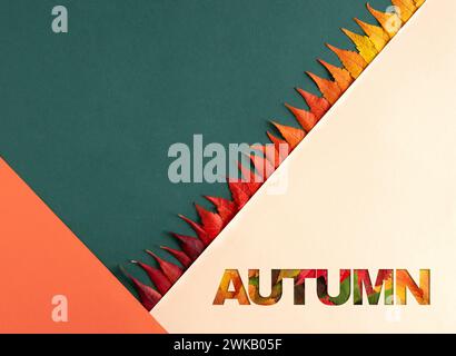 Composition d'automne avec des feuilles brillantes. Fond géométrique dans les couleurs vert, orange et pastel. Concept tendance minimal de l'automne. Mise en page. Banque D'Images