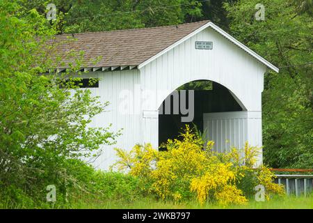 Mosby Creek Covered Bridge le long de Row River Trail, Eugene District Bureau of Land Management, comté de Lane, Oregon Banque D'Images