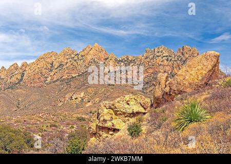 Pics déchiquetés dans un panorama du désert dans le monument national Organ Mountain Desert Peaks au Nouveau-Mexique Banque D'Images