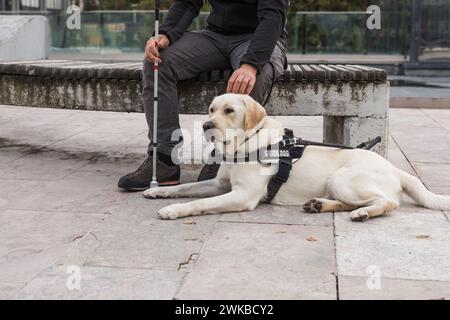 Aveugle et son chien-guide assis dans la rue. Concept de personnes malvoyantes et chiens d'assistance. Banque D'Images