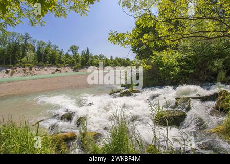 Muehlbach se jette dans le Salzbach à l'embouchure de la Saalach, Allemagne, Bavière Banque D'Images