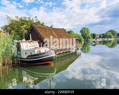 Vieux couteau, amarré dans les roseaux à côté d'un hangar à bateaux dans le lac Schwarzer See, Allemagne, Brandebourg, Flecken Zechlin, Rheinsberg Banque D'Images