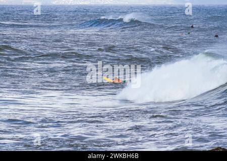 Surfeurs de Ho'okipa Beach Park. Premier arrêt sur la route vers Hana Tour, le Ho'okipa Beach Park est célèbre pour les surfers et les plages de sable blanc. Banque D'Images