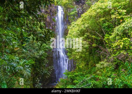 Wailua Falls est 45 juste sur la route de Hana sur l'île de Maui à Hawaii. Banque D'Images