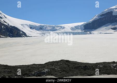 Moraine terminale du glacier Athabasca - Parc national Jasper, Canada Banque D'Images