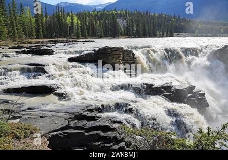 Puissantes chutes Athabasca - Canada Banque D'Images