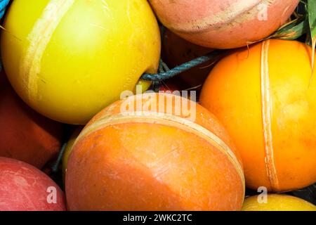 Boules flottantes en plastique colorées sur un filet de pêche, Hvide Sande, région Midtjylland, Danemark Banque D'Images