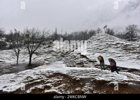 Gaganfir, Inde. 19 février 2024. Les nomades cachemiris montent la colline après de fortes chutes de neige à Gagangir, à environ 90 km de Srinagar. De fortes chutes de neige et de fortes pluies au Cachemire ont coupé la vallée du reste du monde. Toutes les autoroutes sont fermées à la circulation. Le météorologue a prévu que la pluie et la neige continueront pendant encore 48 heures, ce qui pourrait entraîner de légères chutes de neige dans les plaines de la vallée. Crédit : SOPA images Limited/Alamy Live News Banque D'Images