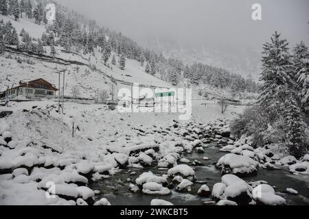 Gaganfir, Inde. 19 février 2024. Une vue de ruisseau enneigé après de fortes chutes de neige à Gagangir, à environ 90kms de Srinagar. De fortes chutes de neige et de fortes pluies au Cachemire ont coupé la vallée du reste du monde. Toutes les autoroutes sont fermées à la circulation. Le météorologue a prévu que la pluie et la neige continueront pendant encore 48 heures, ce qui pourrait entraîner de légères chutes de neige dans les plaines de la vallée. Crédit : SOPA images Limited/Alamy Live News Banque D'Images