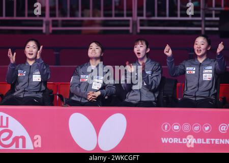 Miyuu Kihara, Mima Ito, Hina Hayata, Miwa Harimoto (JPN), 19 FÉVRIER 2024 - Tennis de table : ITTF World Team Tennis Championships finals Busan 2024 Women's Team Group Stage au BEXCO Convention Centre, Busan, Corée du Sud. (Photo YUTAKA/AFLO SPORT) Banque D'Images