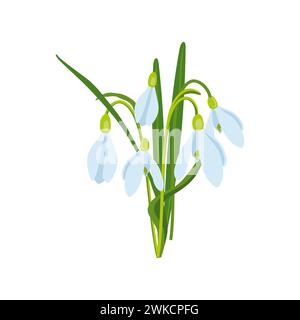 Illustration vectorielle du thème de Pâques, bouquet de fleurs de printemps, gouttes de neige, fleurs blanches, bourgeons et feuilles, illustration de fête de printemps sur backgroun blanc Illustration de Vecteur