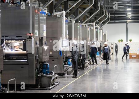 HEFEI, CHINE - 20 FÉVRIER 2024 - des travailleurs produisent des plaquettes de silicium photovoltaïque dans un atelier d'une entreprise de plaquettes de silicium photovoltaïque dans la circulaire Hefei Banque D'Images