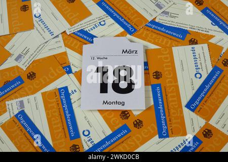 Kalenderblatt und Organspendeausweise Kalenderblatt und Organspendeausweise, 19.02.2024, Borkwalde, Brandebourg, Auf verschiedenen Organspendeausweisen liegt ein Kalenderblatt. *** Page calendrier et cartes de donneur d'organes page calendrier et cartes de donneur d'organes, 19 02 2024, Borkwalde, Brandebourg, il y a une page calendrier sur diverses cartes de donneur d'organes Banque D'Images