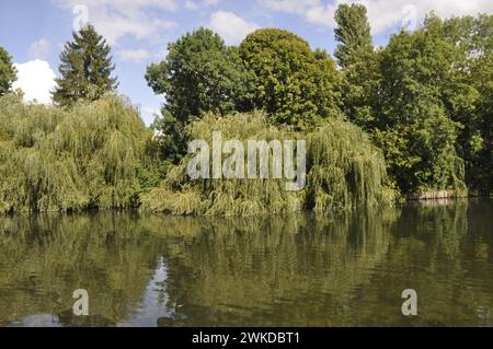 Le Loing à Moret sur Loing Banque D'Images