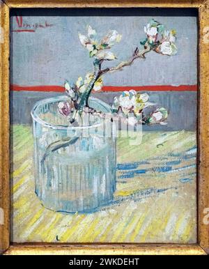 Branche d'amande fleurie (1888) de Vincent van Gogh (1853-1890) Banque D'Images
