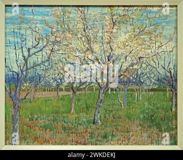 Le verger rose (1888) de Vincent van Gogh (1853-1890) Banque D'Images