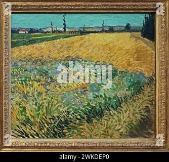 Champ de blé (1888) de Vincent van Gogh (1853-1890) Banque D'Images