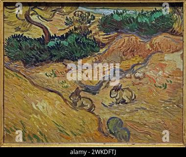 Paysage avec lapins (1889) de Vincent van Gogh (1853-1890) Banque D'Images