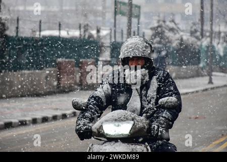Srinagar, Inde. 20 février 2024. Un homme monte son scooter le long de la route enneigée lors de fortes chutes de neige à Srinagar. La ville de Srinagar a reçu des chutes de neige mardi alors que les parties supérieures du Cachemire ont été témoins de chutes de neige abondantes au cours des dernières 48 heures, ont déclaré les responsables ici. La route nationale est restée fermée et les services de vol à destination et en provenance de Srinagar ont été annulés. Crédit : SOPA images Limited/Alamy Live News Banque D'Images