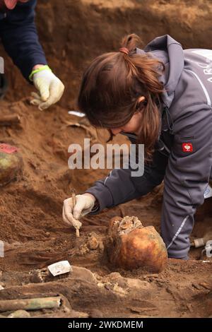 Nuremberg, Allemagne. 20 février 2024. Un archéologue découvre les restes humains dans l'une des plus grandes tombes de peste découvertes en Allemagne à ce jour. Les squelettes ont été découverts lors de travaux de construction sur le site d'une nouvelle maison de retraite. Crédit : Daniel Löb/dpa/Alamy Live News Banque D'Images