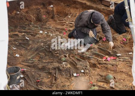 Nuremberg, Allemagne. 20 février 2024. Un archéologue découvre les restes humains dans l'une des plus grandes tombes de peste découvertes en Allemagne à ce jour. Les squelettes ont été découverts lors de travaux de construction sur le site d'une nouvelle maison de retraite. Crédit : Daniel Löb/dpa/Alamy Live News Banque D'Images