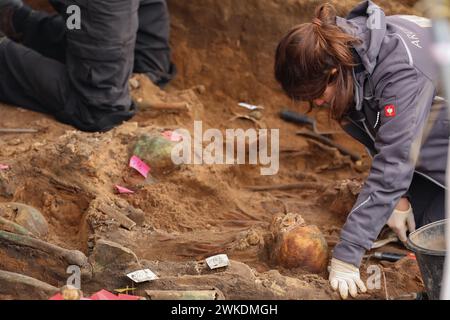 Nuremberg, Allemagne. 20 février 2024. Un archéologue découvre les restes humains dans l'une des plus grandes tombes de peste découvertes en Allemagne à ce jour. Les squelettes ont été découverts lors de travaux de construction sur le site d'une nouvelle maison de retraite. Crédit : Daniel Löb/dpa/Alamy Live News Banque D'Images