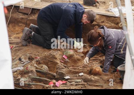 Nuremberg, Allemagne. 20 février 2024. Les archéologues fouillent les restes humains de l'une des plus grandes tombes de peste découvertes en Allemagne à ce jour. Les squelettes ont été découverts lors de travaux de construction sur le site d'une nouvelle maison de retraite. Crédit : Daniel Löb/dpa/Alamy Live News Banque D'Images