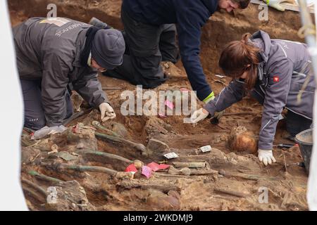 Nuremberg, Allemagne. 20 février 2024. Les archéologues fouillent les restes humains de l'une des plus grandes tombes de peste découvertes en Allemagne à ce jour. Les squelettes ont été découverts lors de travaux de construction sur le site d'une nouvelle maison de retraite. Crédit : Daniel Löb/dpa/Alamy Live News Banque D'Images