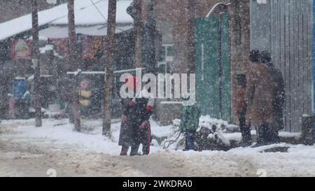 Srinagar, Inde. 20 février 2024. Les hauts sommets et les plaines de la vallée du Cachemire ont massé beaucoup de neige. Le météorologue a prévu plus de précipitations dans les prochaines 24 heures au Jammu-et-Cachemire et une amélioration de la météo par la suite. (Photo de Firdous Parray/Pacific Press) crédit : Pacific Press Media production Corp./Alamy Live News Banque D'Images