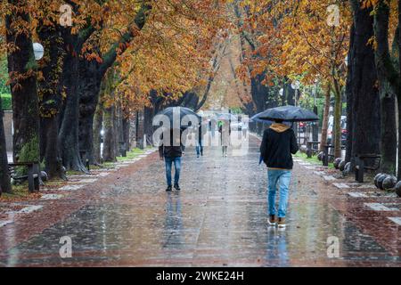 Fray Francisco de Vitoria Walk, automne sous la pluie, Vitoria, pays Basque, Espagne. Banque D'Images